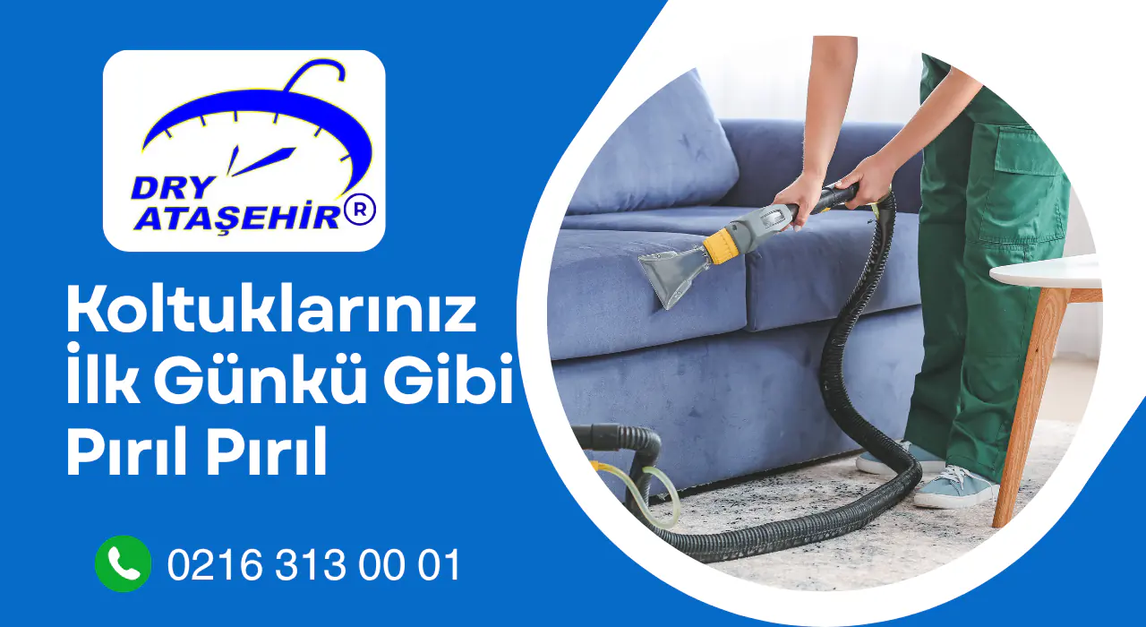koltuk yıkama