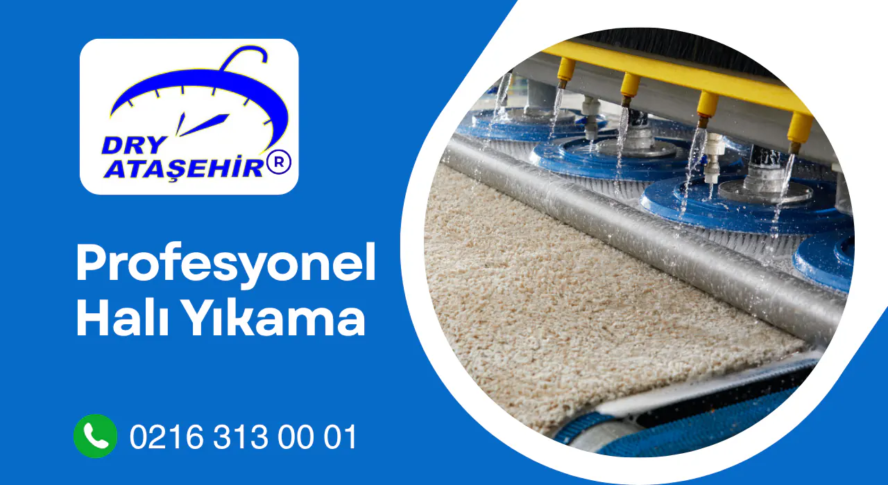 halı yıkama